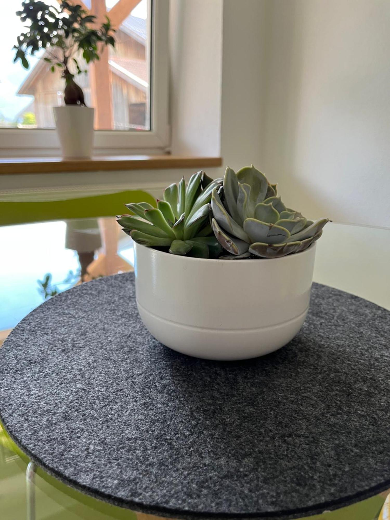 Appartement Seehof Nassereith Eksteriør bilde